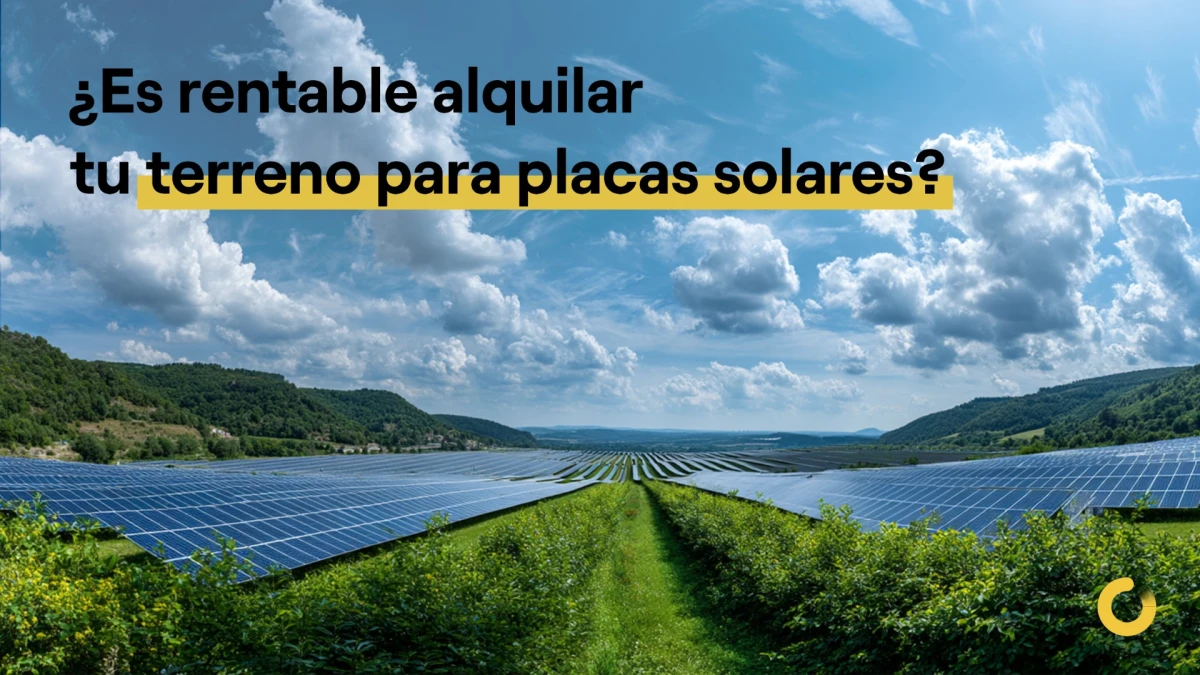 ¿Es rentable alquilar tu terreno para placas solares?