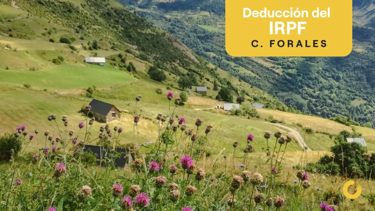 Deducciones en el IRPF en haciendas forales: Navarra y País Vasco