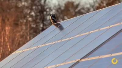 21 de octubre: Día Mundial del Ahorro Energético